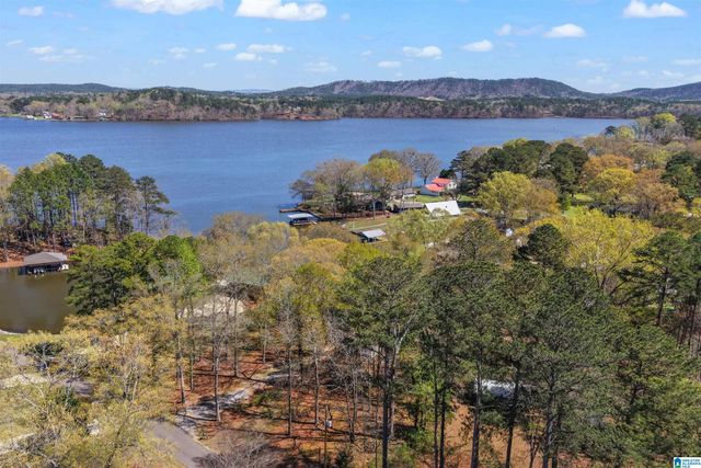 100 HORN DRIVE, Shelby, AL 35143