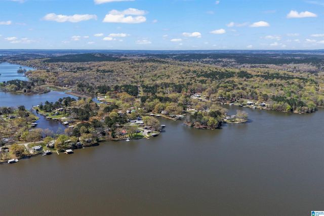 100 HORN DRIVE, Shelby, AL 35143