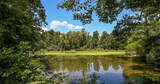 236 Sam Johnson Road, NW, Georgetown, TN 37336
