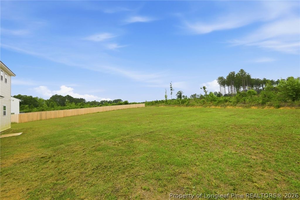 179 Palomo Place, Raeford, NC 28376 — photo 6