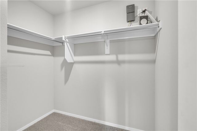 3229 Wolf Creek Street, Springdale, AR 72764