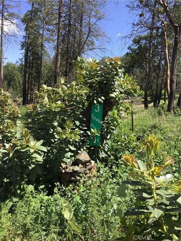 3 Town Hill Way, Berry Creek, CA 95916