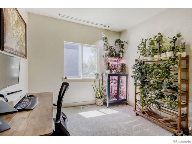 1909 Mahogany Way, Severance, CO 80550