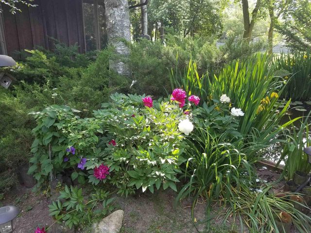 7231 Fortune Drive, Middleton, WI 53562