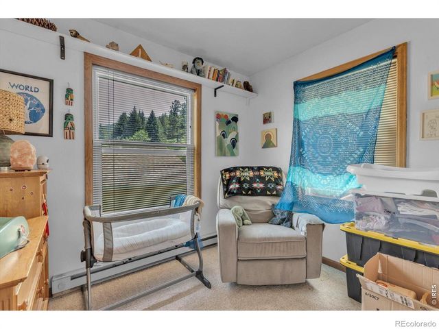 35 Main Street, Jamestown, CO 80455