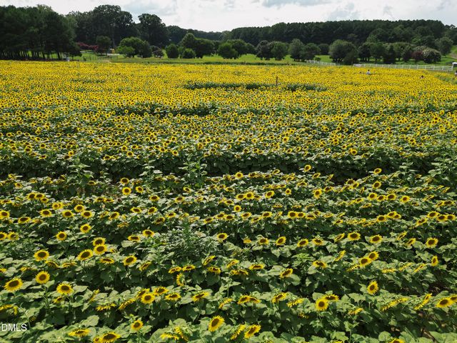 1901 Proximity Pointe Court, Raleigh, NC 27603