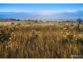 7895 County Road 84, Fort Collins, CO 80524