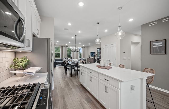 217 Steeple Bush Lane 10242, Schaumburg, IL 60193