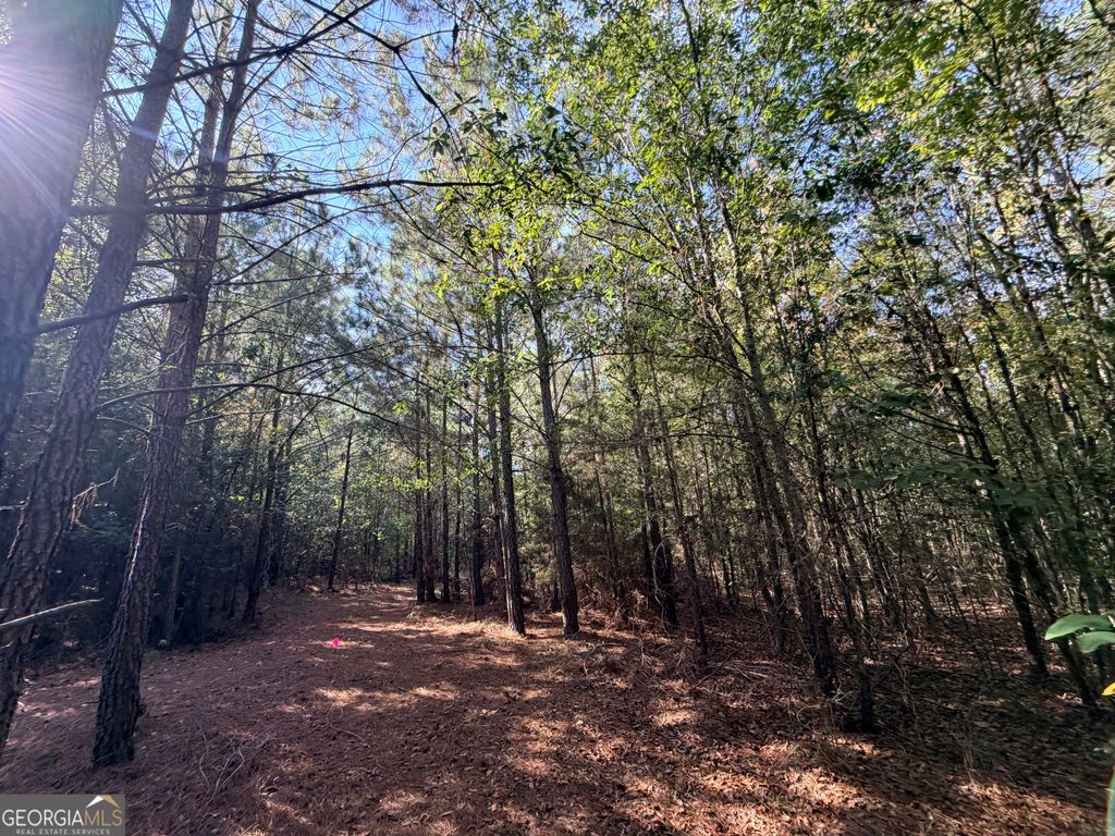 2730 Ruckerville Road, Elberton, GA 30635 — photo 5