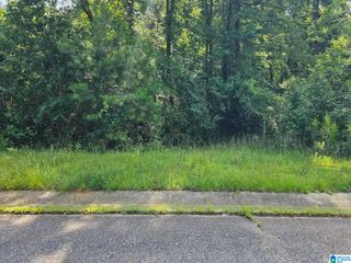 Lot 14 WOODHAVEN DRIVE, Pell City, AL 35128