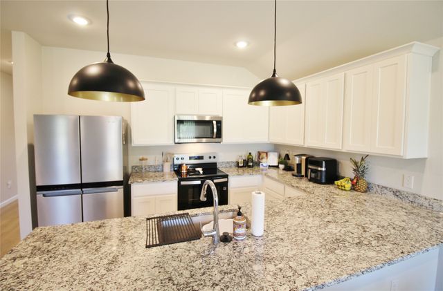 3225 Purple Ash Drive, Dallas, TX 75253