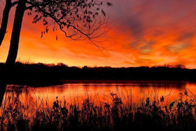 11005 Hyland Terrace, Eden Prairie, MN 55344