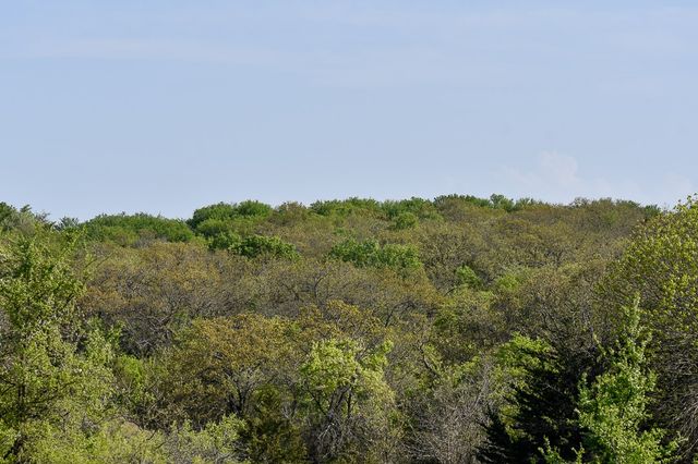 TBD FM 51, Decatur, TX 76234