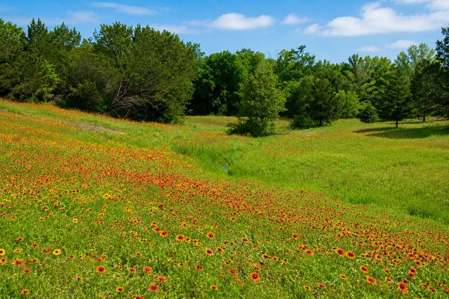 1973 County Road 513, Stephenville, TX 76401
