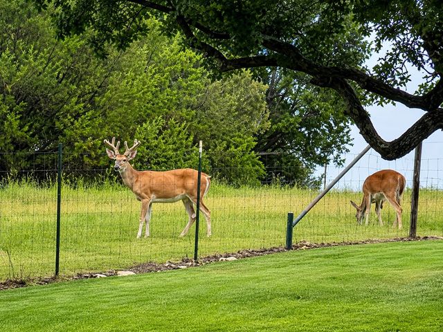 1973 County Road 513, Stephenville, TX 76401