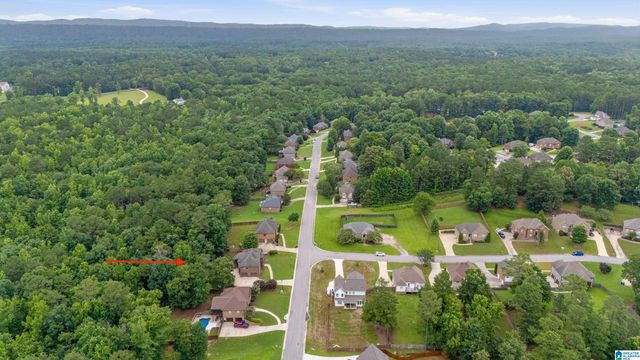 180 LIME CREEK LANE, Chelsea, AL 35043