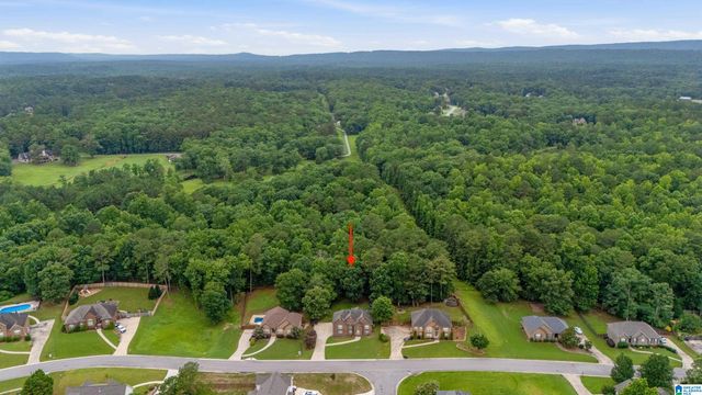180 LIME CREEK LANE, Chelsea, AL 35043