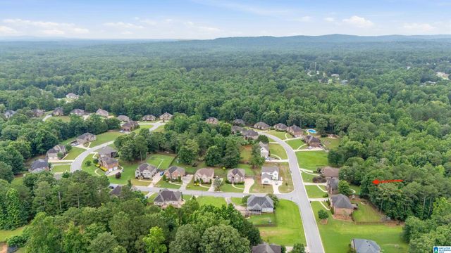180 LIME CREEK LANE, Chelsea, AL 35043