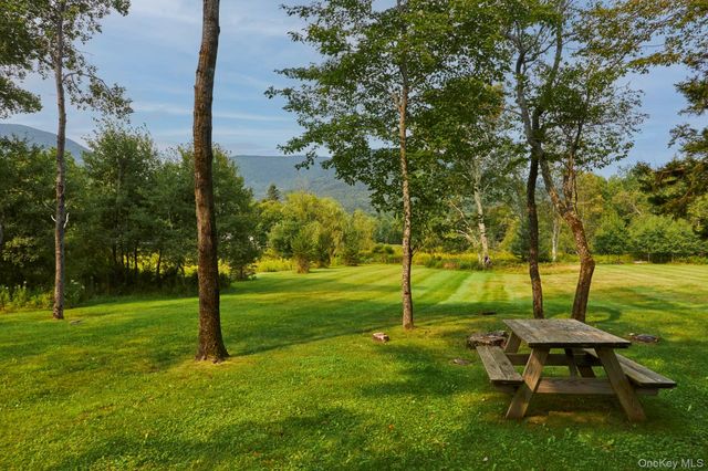 1658 Platte Clove Road, Hunter, NY 12427