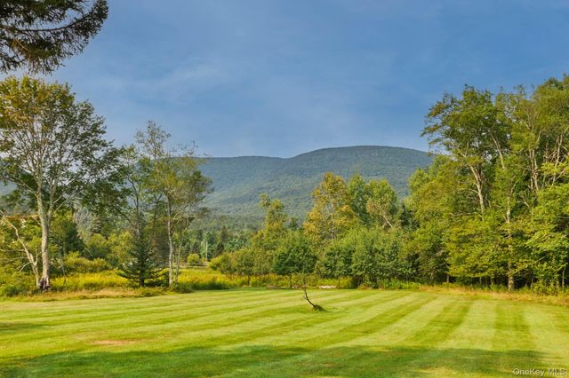 1658 Platte Clove Road, Hunter, NY 12427