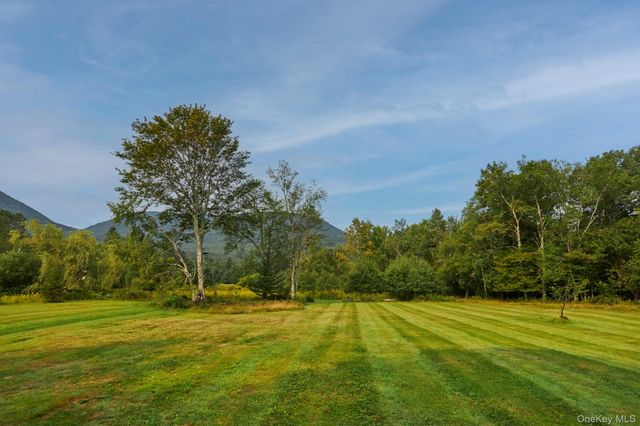 1658 Platte Clove Road, Hunter, NY 12427