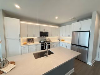 716 Waugh Drive 1204, Houston, TX 77019