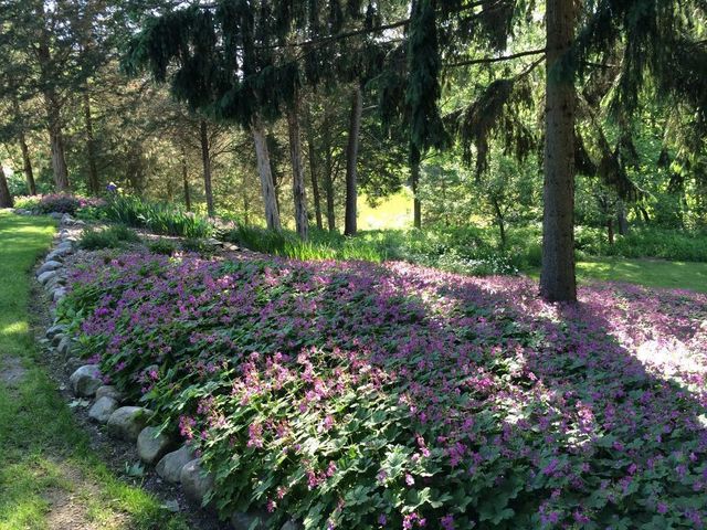 W335N5392 Wedgewood DRIVE, Nashotah, WI 53058