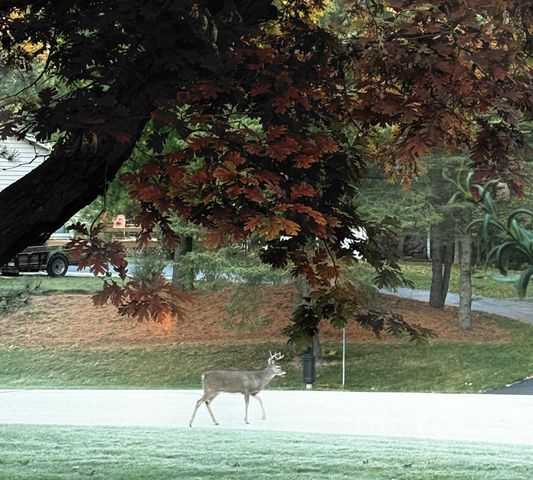 W335N5392 Wedgewood DRIVE, Nashotah, WI 53058