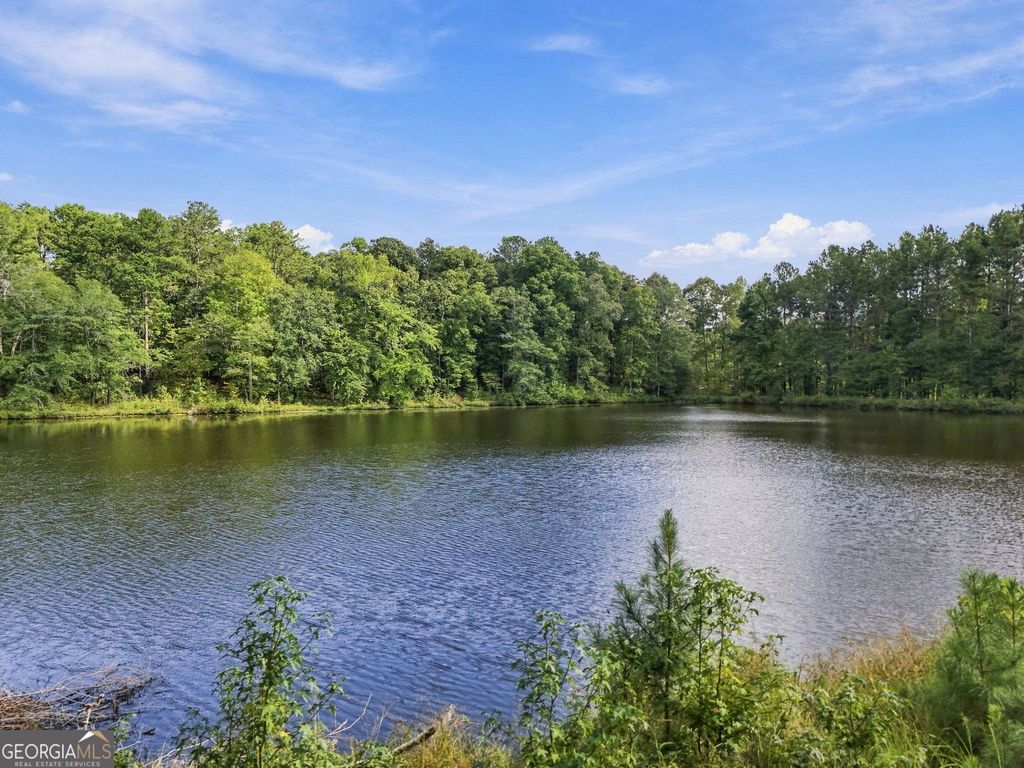 212 Aaron Young Road, Newnan, GA 30263 — photo 2