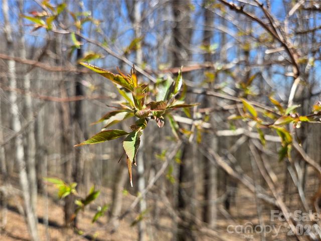 200 Wolverine Court 44, Waynesville, NC 28785