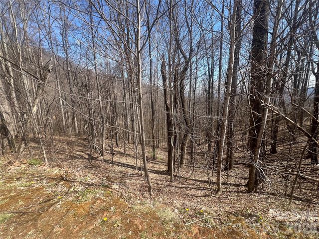 200 Wolverine Court 44, Waynesville, NC 28785