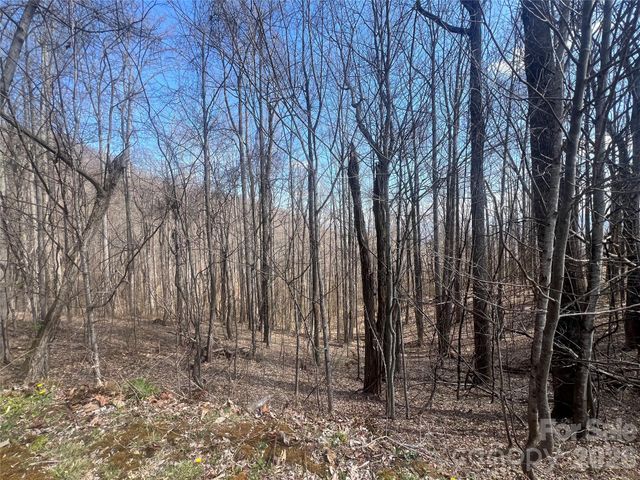 200 Wolverine Court 44, Waynesville, NC 28785