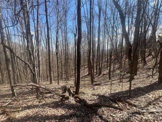 200 Wolverine Court 44, Waynesville, NC 28785