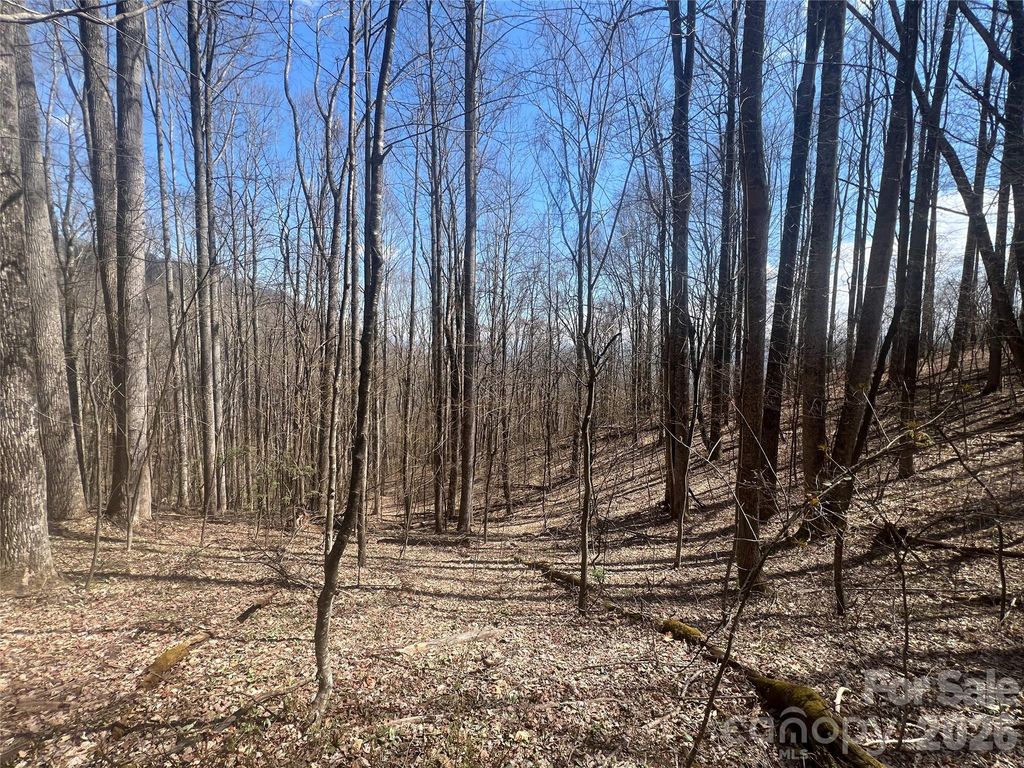 200 Wolverine Court 44, Waynesville, NC 28785
