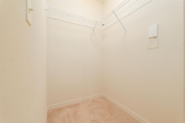 99 Broad River Pl # 3205, Welaka, FL 32193