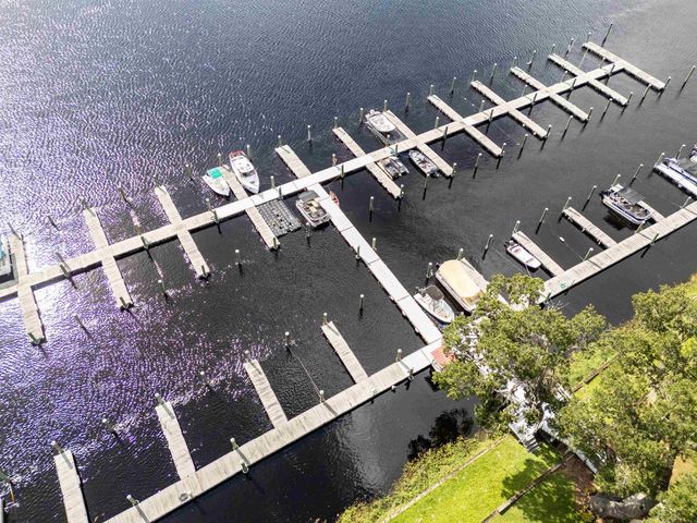 99 Broad River Pl # 3205, Welaka, FL 32193