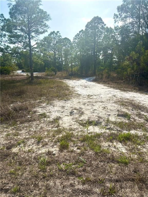 764 Kirkman AVE, LEHIGH ACRES, FL 33974 — photo 2