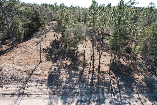 NE HIGHWAY 27 ALT HIGHWAY, Williston, FL 32696