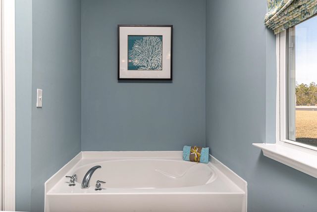 335 Hadley Springs Ave, Longs, SC 29568