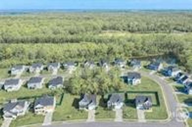 293 McCrady Drive, Richmond Hill, GA 31324