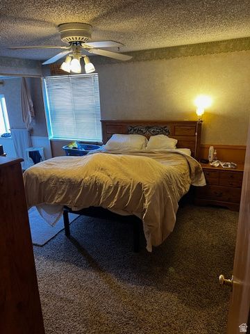 576 N 200 W, Fairview, UT 84629