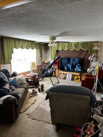 576 N 200 W, Fairview, UT 84629