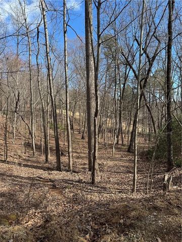 2526 Turnbury Lane, Big Canoe, GA 30143