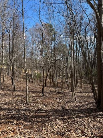 2526 Turnbury Lane, Big Canoe, GA 30143