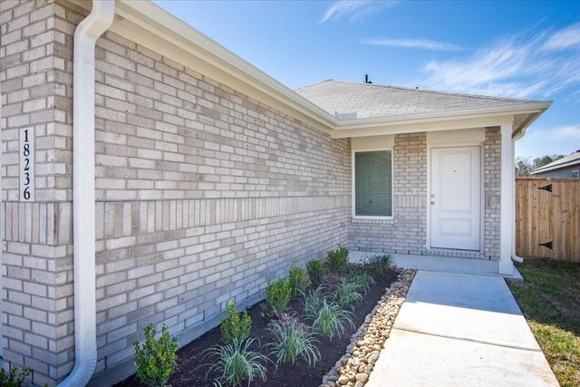 18236 Pontecorvo Lane, New Caney, TX 77357