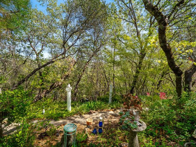 4711 Meadowview Acres Rd, Cool, CA 95614