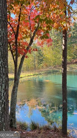 112 Serenity Lake Drive, Alpharetta, GA 30004