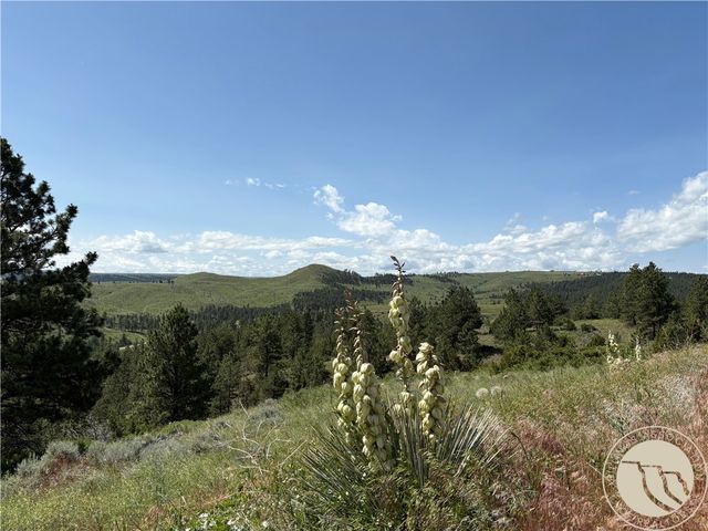 Lot 94 Owl Canyon ROAD, Reed Point, MT 59069