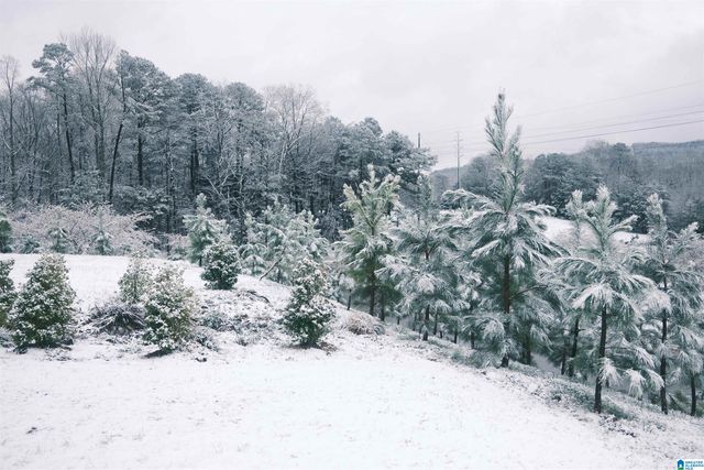 6990 SOUTHERN TRACE LOOP, Leeds, AL 35094
