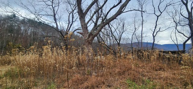 10401 Callaway RD, Callaway, VA 24067